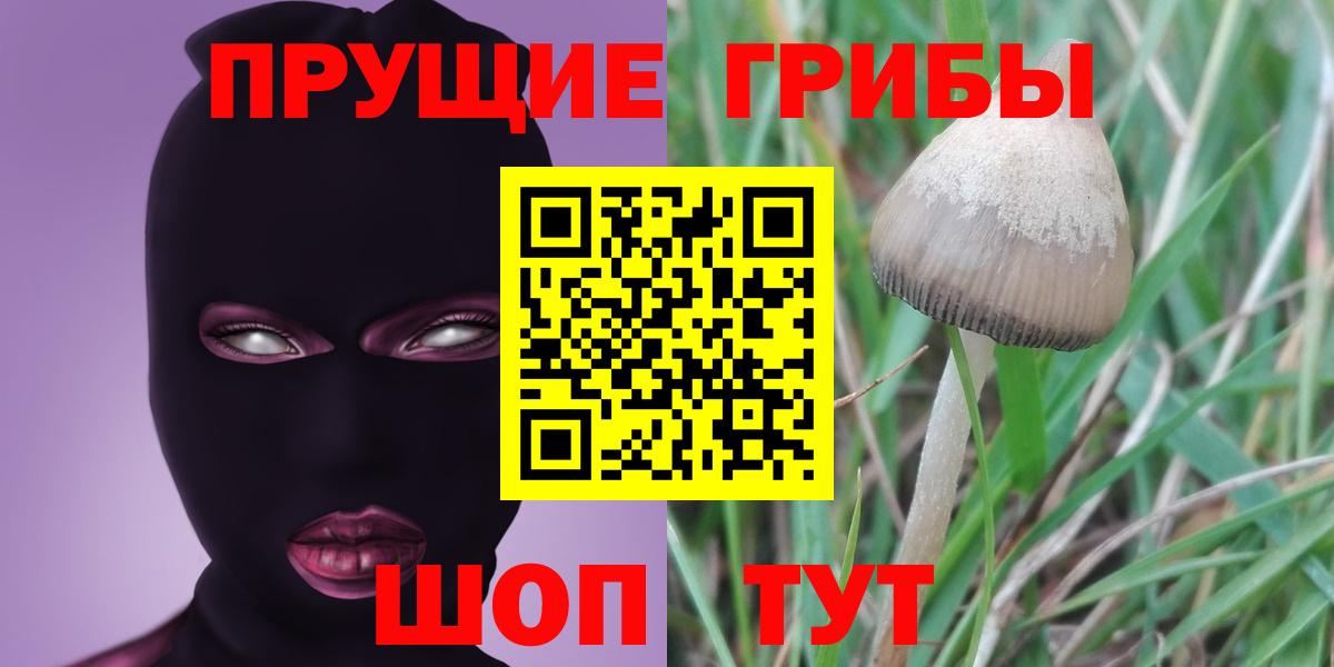 Псилоцибиновые грибы MAGIC MUSHROOMS  Вход с VPN  Мурино 